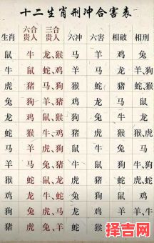 打掉牙齿和血吞是指什么生肖-第1张图片