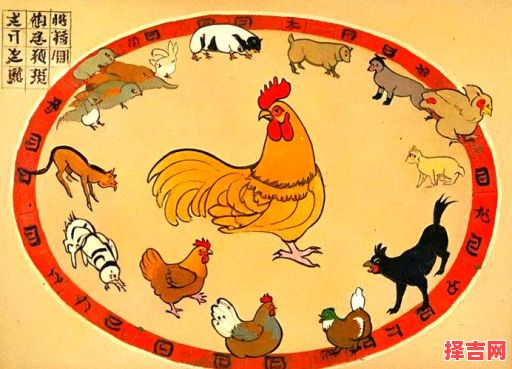 舞姿翩翩猜动物 舞态翩翩美动人猜生肖-第1张图片