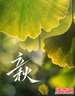 今年立秋几点钟 今年立秋在几时几分-第1张图片