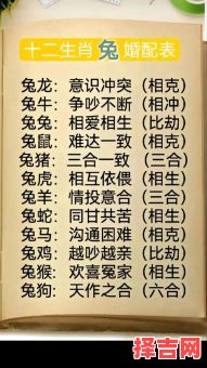 属鼠男与兔女婚姻是否相配属龙和属兔婚姻相配吗-第1张图片 属鼠男与兔女婚姻是否相配属龙和属兔婚姻相配吗-第1张图片