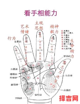 手相掌丘与纹路何者更关键为何不可随意观手相-第1张图片