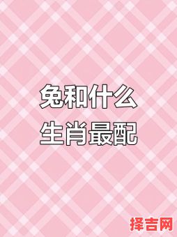 属兔的与哪些属相最相配属兔的与哪些属相最合适-第1张图片