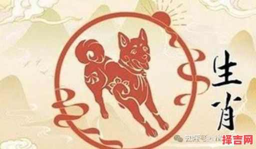 属狗能否纹青龙 属狗是否忌讳龙字-第1张图片 属狗能否纹青龙 属狗是否忌讳龙字-第1张图片