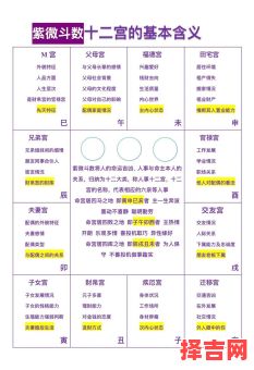 紫微斗数子女宫紫微在子女宫寓意解析-第1张图片 紫微斗数子女宫紫微在子女宫寓意解析-第1张图片
