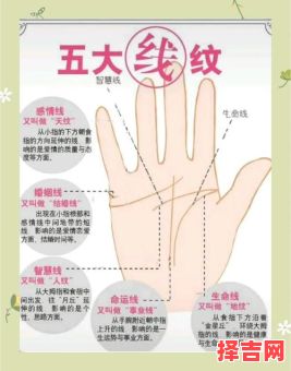 女M手相纹路，女性手相命运解析-第1张图片