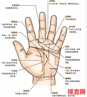 手相能反映肠胃不佳吗胃健康者的手相色泽-第1张图片