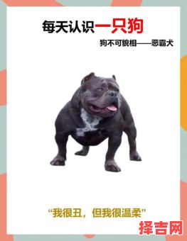 嫉恶好善意指什么 嫉恶好善暗指哪种动物-第1张图片