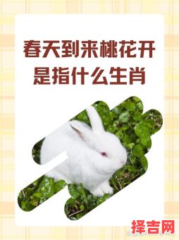 暮春三月指什么生肖-第1张图片