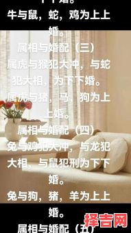 属鼠男和属马女相配吗，属鼠男与属马女的婚姻合适吗-第1张图片