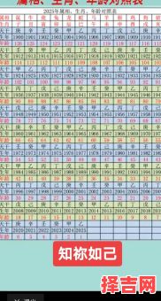 95年的今年多大了95年的今年多大了属什么生肖-第1张图片 95年的今年多大了95年的今年多大了属什么生肖-第1张图片