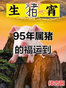 属猪的出生年份属猪的三大贵人-第1张图片 属猪的出生年份属猪的三大贵人-第1张图片