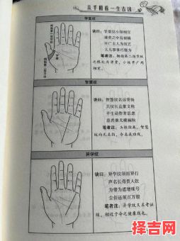 手相入门指南 一图读懂你的掌纹-第1张图片