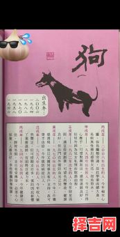 2025年属狗结婚黄道吉日 属狗人适合在2025蛇年结婚吗-第1张图片