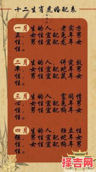 属龙的最佳配对生肖属虎的最佳配对属相-第1张图片