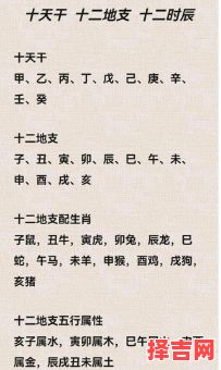 属鼠男2025年感情运势如何 属鼠人2025-第1张图片