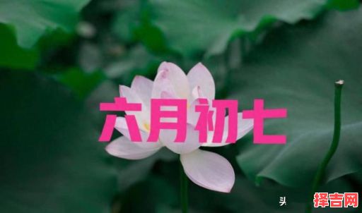 六月初七良辰吉日是何天(六月初七生日是否为吉日)-第1张图片 六月初七良辰吉日是何天(六月初七生日是否为吉日)-第1张图片