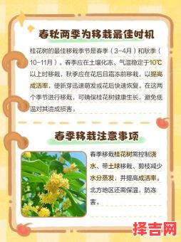 2025年5月移树择吉 移树最宜时节-第1张图片 2025年5月移树择吉 移树最宜时节-第1张图片
