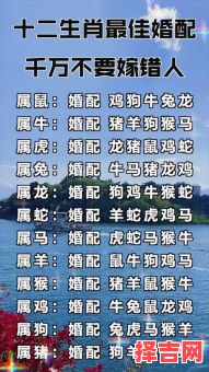 左边成亲猜一生肖-第1张图片 左边成亲猜一生肖-第1张图片