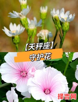 天秤座守护宝石是什么天秤座最畏惧什么星座-第1张图片