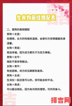 82年属狗女的最佳婚配是什么 82年属狗女和哪些属相最配对-第1张图片
