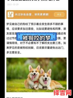 女性梦见脚被狗咬出血后驱狗并流血不止-第1张图片