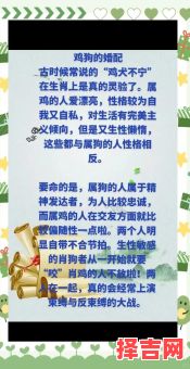 属狗和属鸡的婚配合适吗配对情况如何-第1张图片 属狗和属鸡的婚配合适吗配对情况如何-第1张图片