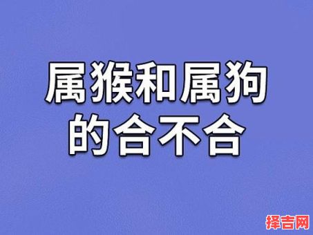 属狗与哪些属相相克相冲，属狗男和属猴女相配吗-第1张图片