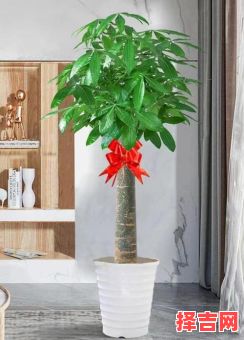 招财爷最佳客厅位置 招财树何处最旺财-第1张图片 招财爷最佳客厅位置 招财树何处最旺财-第1张图片