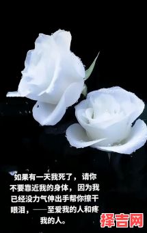 思之已尽心成灰-第1张图片