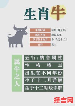 1997年属牛女2025年感情运势与婚姻运势解析-第1张图片 1997年属牛女2025年感情运势与婚姻运势解析-第1张图片