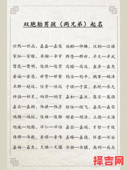双胞胎起名大全 双胞胎名字精选-第1张图片 双胞胎起名大全 双胞胎名字精选-第1张图片
