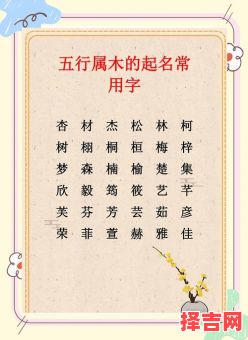 五行属木的女孩名字常用字 女孩取名字五行属木的字-第1张图片