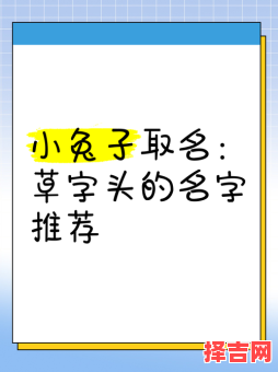 男孩草字头吉利的名字属兔 草字头最旺女孩名字属兔-第1张图片