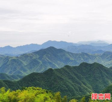 名字带萍的女孩名字 萍名字女孩-第1张图片