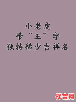 王字旁的名字女孩名字 王字旁的字用于女孩名字-第1张图片