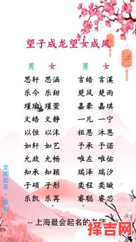 代字辈女孩起名字大全 代字辈女孩起名字-第1张图片