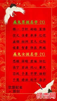 属兔女孩取小名字最吉利的字 属兔女孩取小名-第1张图片