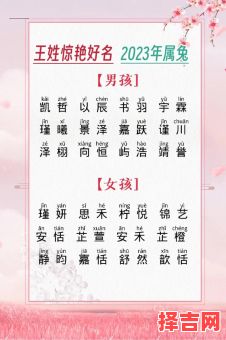 王姓女孩名字2026年属兔取名 王姓女孩名字2026年属兔-第1张图片