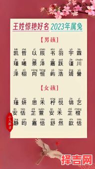 王姓兔宝宝名字大全 兔年王姓女孩起名-第1张图片