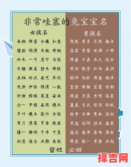 兔宝宝取名字 女孩 兔年宝宝女孩名字寓意好的名字-第1张图片