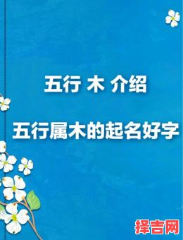 五行属木最吉利单个字女孩用 五行属木的字取名女孩单字-第1张图片