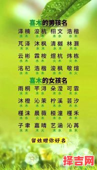 五行属木火的字大全女孩 木火五行女孩名字-第1张图片