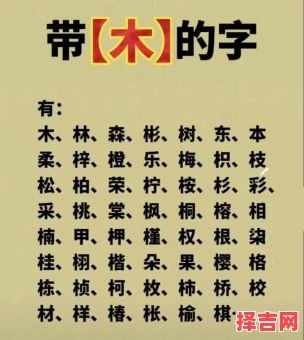 带木字旁的女孩字起名有哪些 带木字旁的女孩字起名-第1张图片