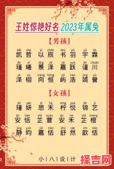 姓王的兔宝宝男孩名字大全免费 王姓属兔的女孩名字-第1张图片