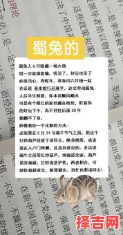 属兔的辰时生女是什么命 兔年辰时出生的女孩取名-第1张图片