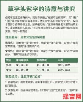 草字头五行属木的男孩姓名 有意义 五行属木的草字头女孩名-第1张图片
