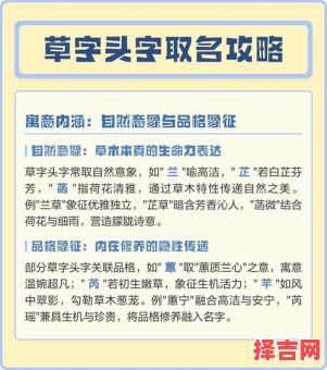 草字头的字女孩小名有哪些 草字头的字女孩小名-第1张图片