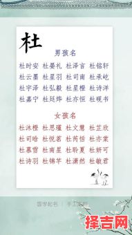 杜姓女孩取名属兔好吗 杜姓女孩取名属兔-第1张图片