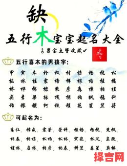 狗宝宝取名女孩五行属金还是木 狗宝宝取名女孩五行属金-第1张图片