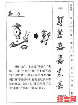 带嘉字的女孩高雅名字 带嘉字的女孩名有内涵-第1张图片